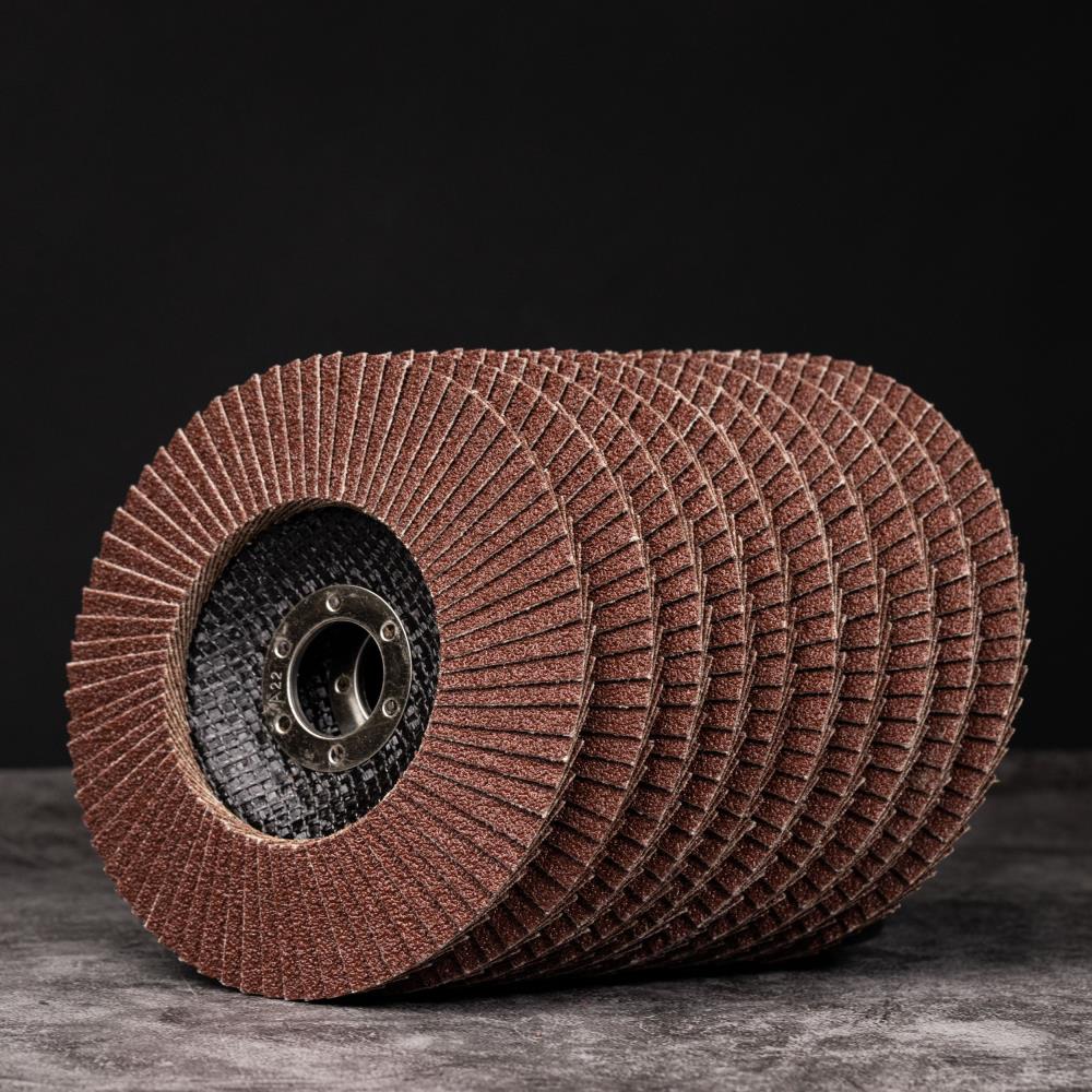 Woltersberger® Fächerscheiben Set 115mm Rot 10 St.