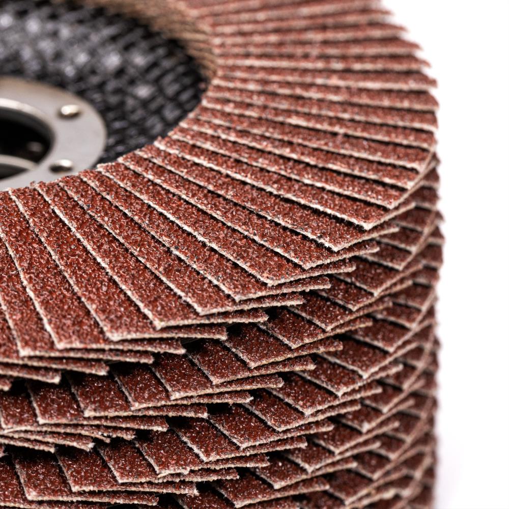 Woltersberger® Fächerscheiben Set 125mm Rot 10 St.