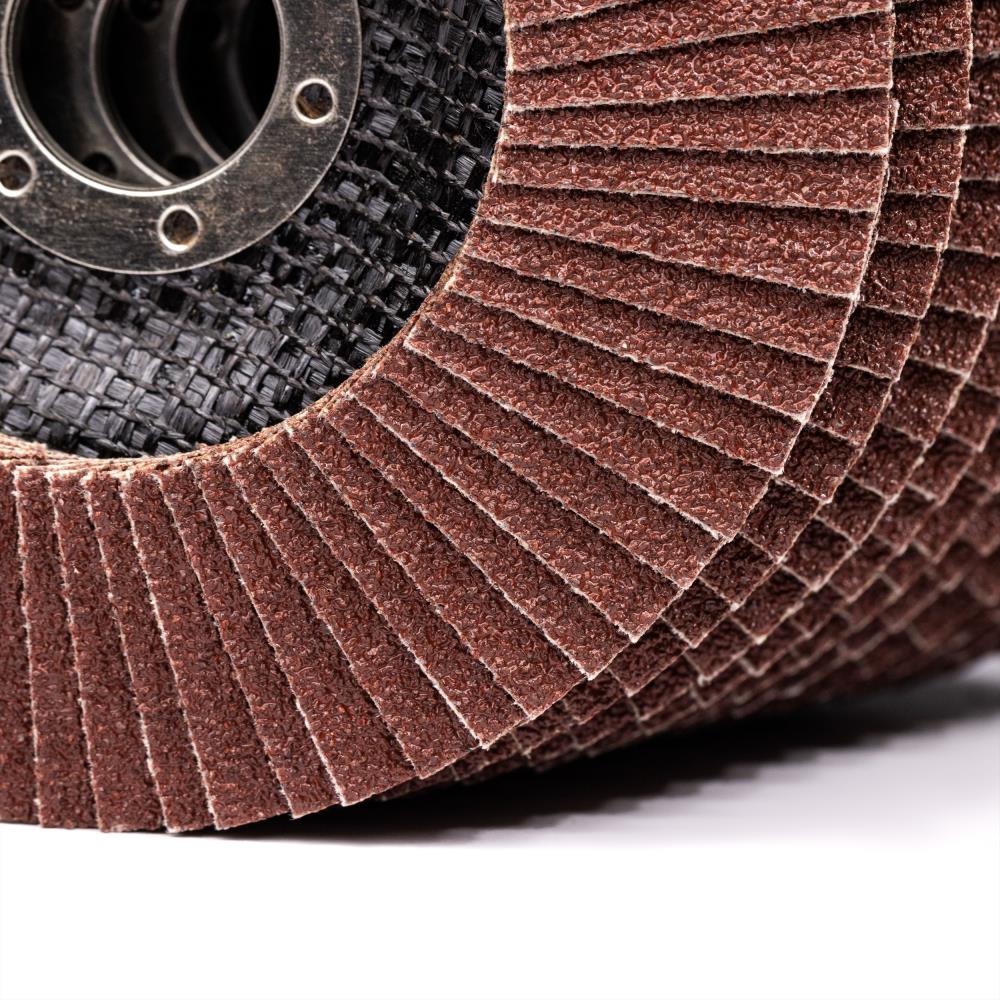 Woltersberger® Fächerscheiben Set 115mm Rot 10 St.